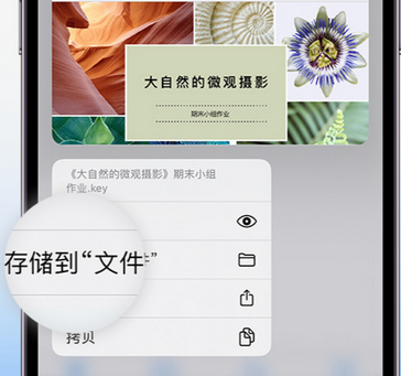 梁河apple维修中心分享iPhone文件应用中存储和找到下载文件