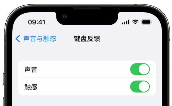 梁河苹果手机维修分享iPhone 14触感键盘使用方法 