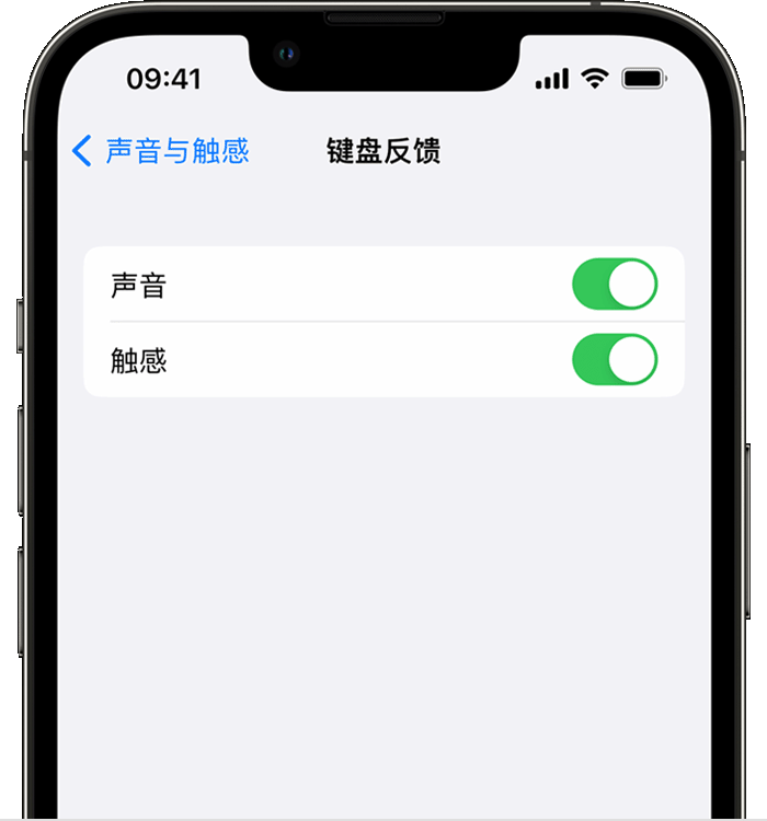 梁河苹果14维修店分享如何在 iPhone 14 机型中使用触感键盘 