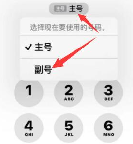 梁河苹果14维修店分享iPhone 14 Pro Max使用副卡打电话的方法 