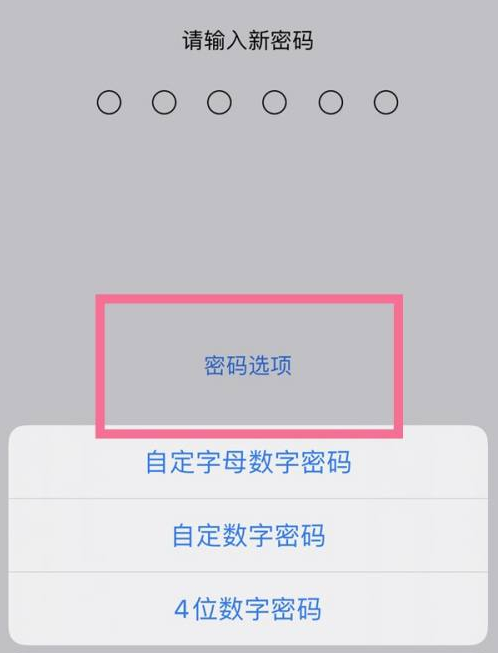 梁河苹果14维修分享iPhone 14plus设置密码的方法 