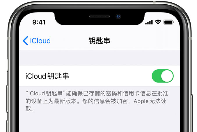 梁河苹果手机维修分享在 iPhone 上开启 iCloud 钥匙串之后会储存哪些信息 